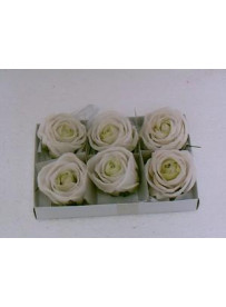 Boîte de 6 roses en cire blanche