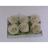 Boîte de 6 roses en cire blanche