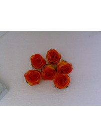 Boîte de 6 roses en cire pêche