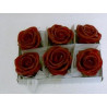 Boîte de 6 roses en cire rouge