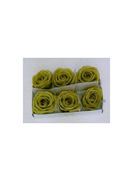 Boîte de 6 roses en cire verte