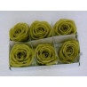 Boîte de 6 roses en cire verte