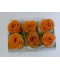 Boîte de 6 roses en cire orange