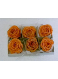 Boîte de 6 roses en cire orange