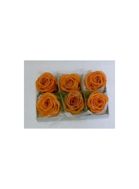 Boîte de 6 roses en cire orange