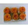 Boîte de 6 roses en cire orange