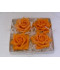Boîte de 4 grandes roses en cire orange