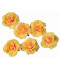 Set de 6 roses jaunes flottantes et adhésives