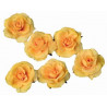 Set de 6 roses jaunes flottantes et adhésives