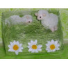 LOT DE 2 MOUTONS