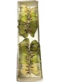 Pics Papillons vert boite de 24 pieces 8cm