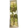 Pics Papillons vert boite de 24 pieces 8cm