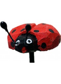 Pics coccinelle en bois 5cm 6pces 11116