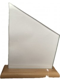 Trophée moyen modèle socle bois neutre