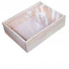 PLUMIERS PLEXI 3 bouteilles